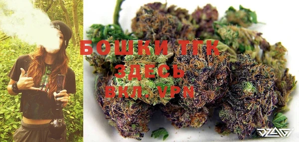 соль ск Осташков